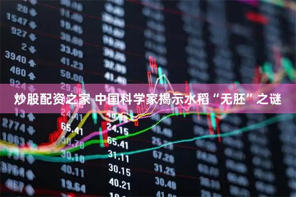 炒股配资之家 中国科学家揭示水稻“无胚”之谜