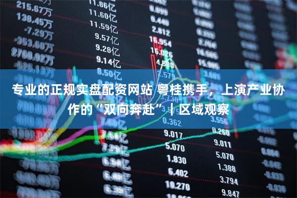 专业的正规实盘配资网站 粤桂携手，上演产业协作的“双向奔赴”｜区域观察